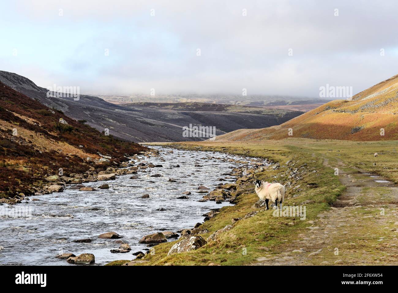 Les Tees de la rivière qui coulent autour des flancs de Cronkley tomba avec Widdybank tomba sur la droite et Mickle tomba en avant dans le nuage, vu de la Pennine Way Banque D'Images