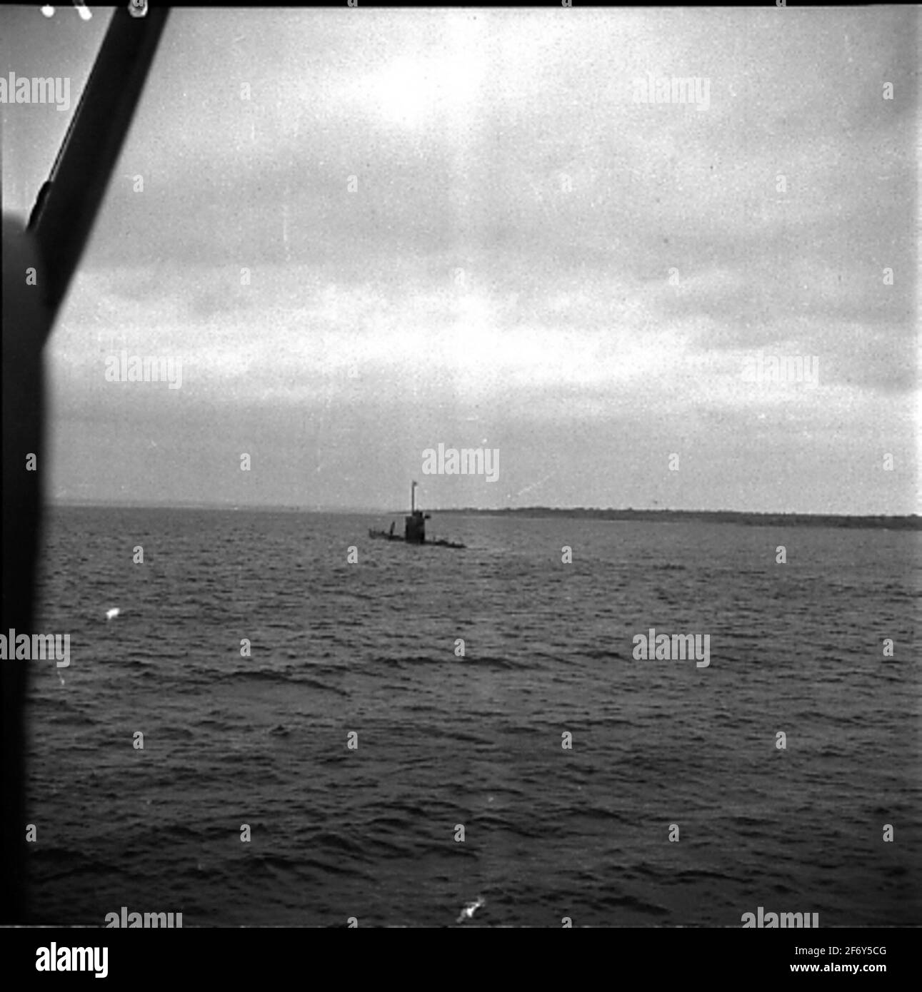 Le sous-marin Sjöbrenenubåten la mer urchines à la mer.la mer sous-marine urchins de mer au ton urbain Banque D'Images