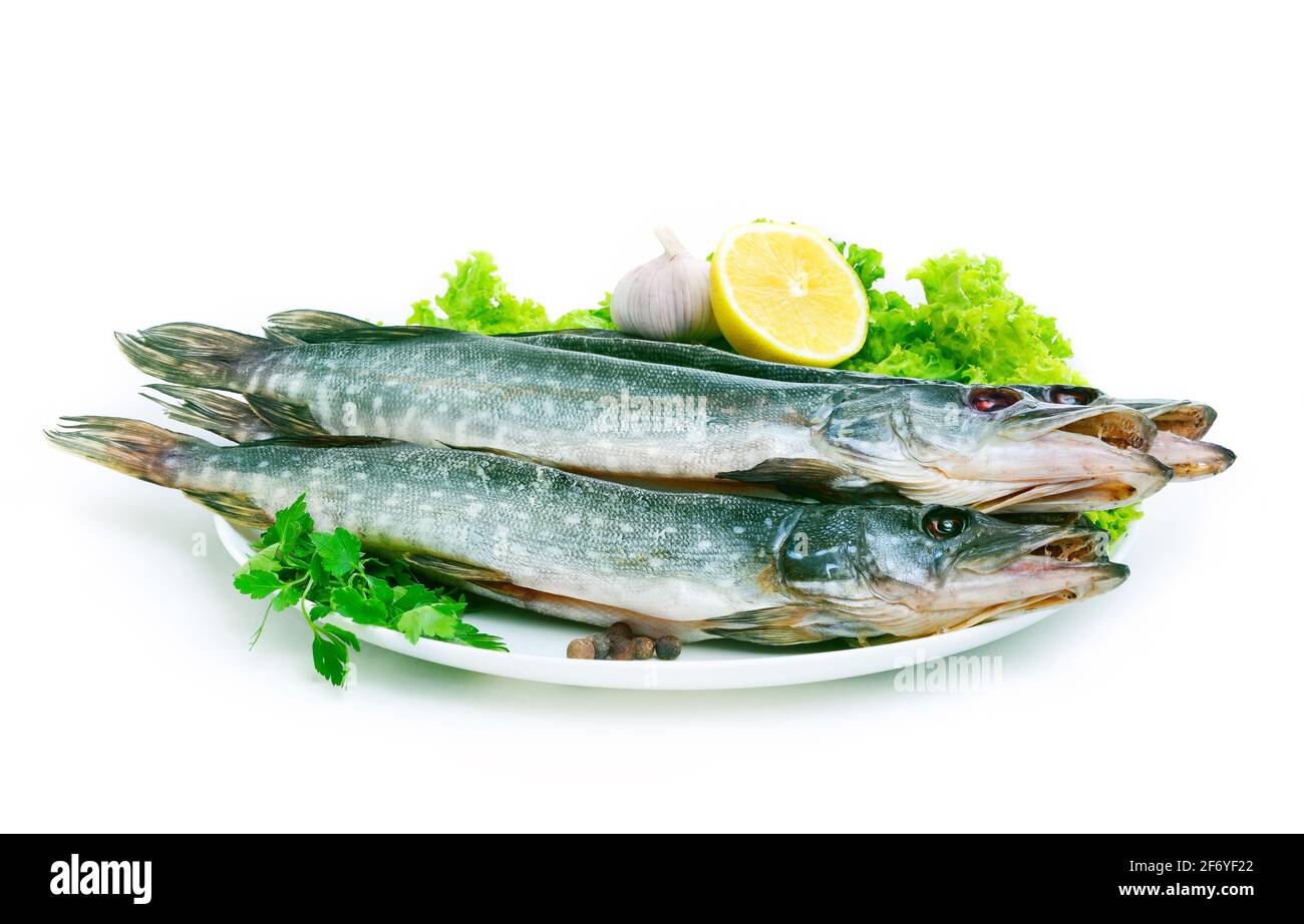 Groupe de poissons séchés à la plaque . Fruits De Mer Banque D'Images