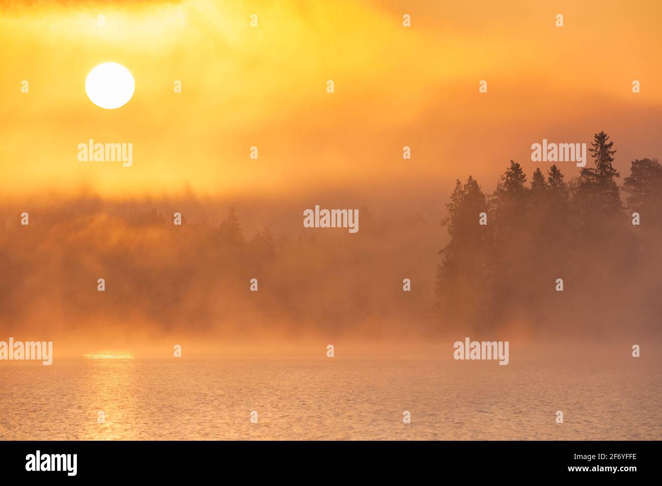 Soleil levant au-dessus de la forêt et du lac brumeux, Suède. Banque D'Images