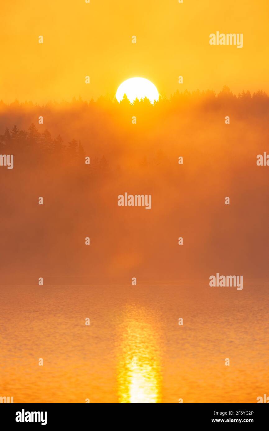 Soleil levant au-dessus de la forêt et du lac brumeux, Suède. Banque D'Images