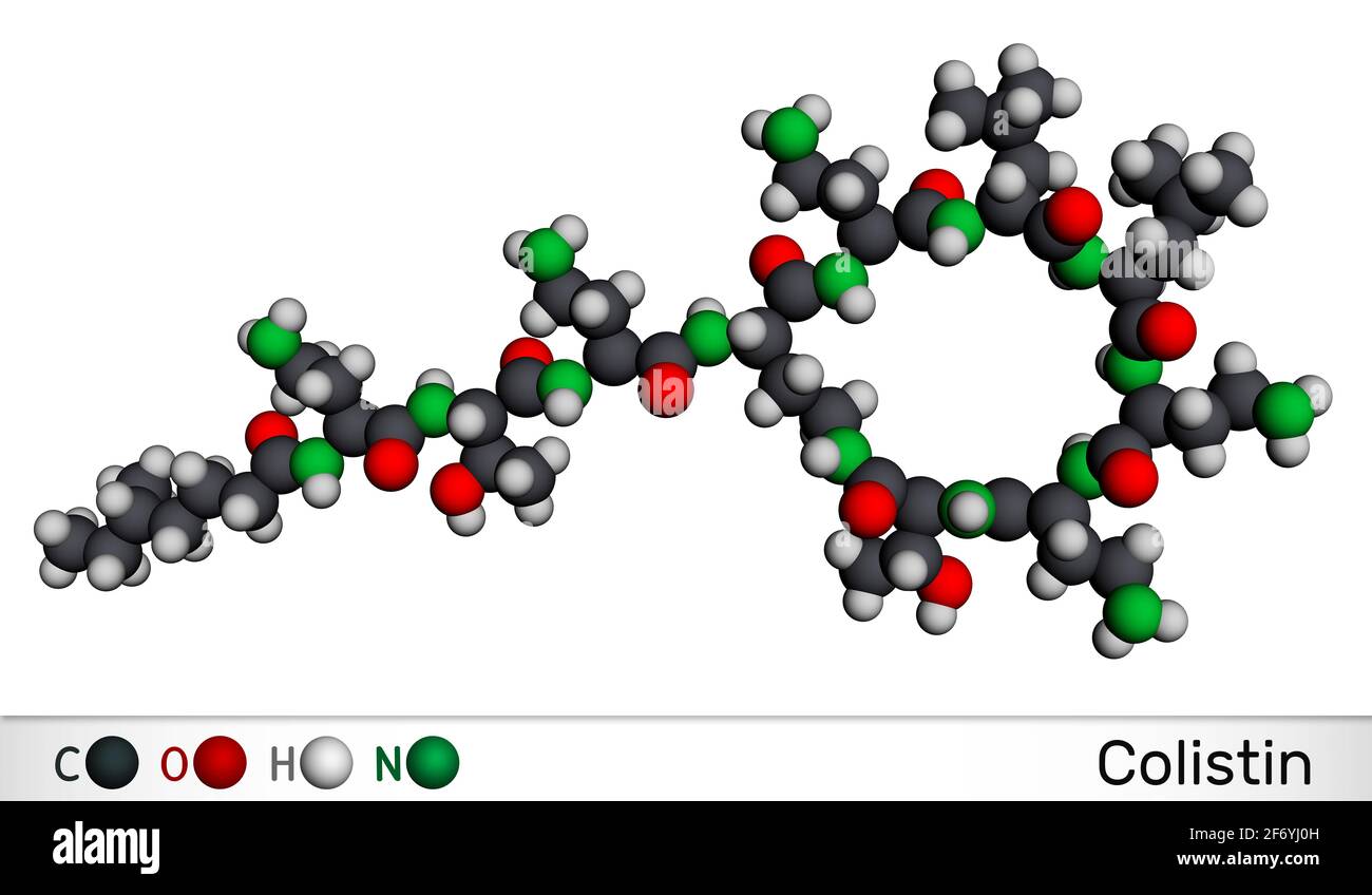 Colistine, molécule de polymyxine E. C'est un antibiotique polypeptide cyclique. Modèle moléculaire. Rendu 3D. Illustration 3D Banque D'Images