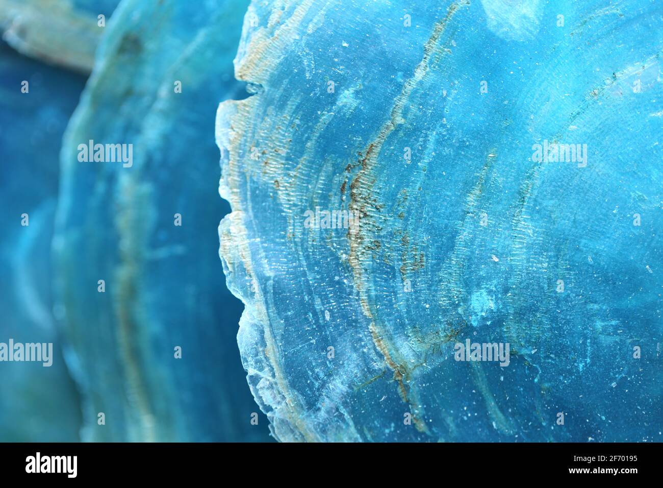 Fond de la nacre de la coquille.texture de la nacre de la mer de la coquille.fond bleu de la mer de la nature.motif de texture de la nature. Macro de la coque abstrait Banque D'Images
