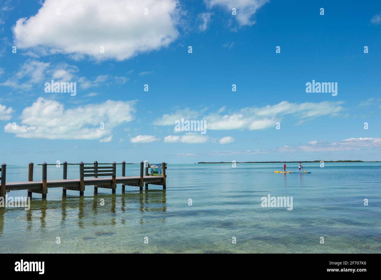 Deux paddle-up debout, Key Largo Florida, États-Unis Banque D'Images