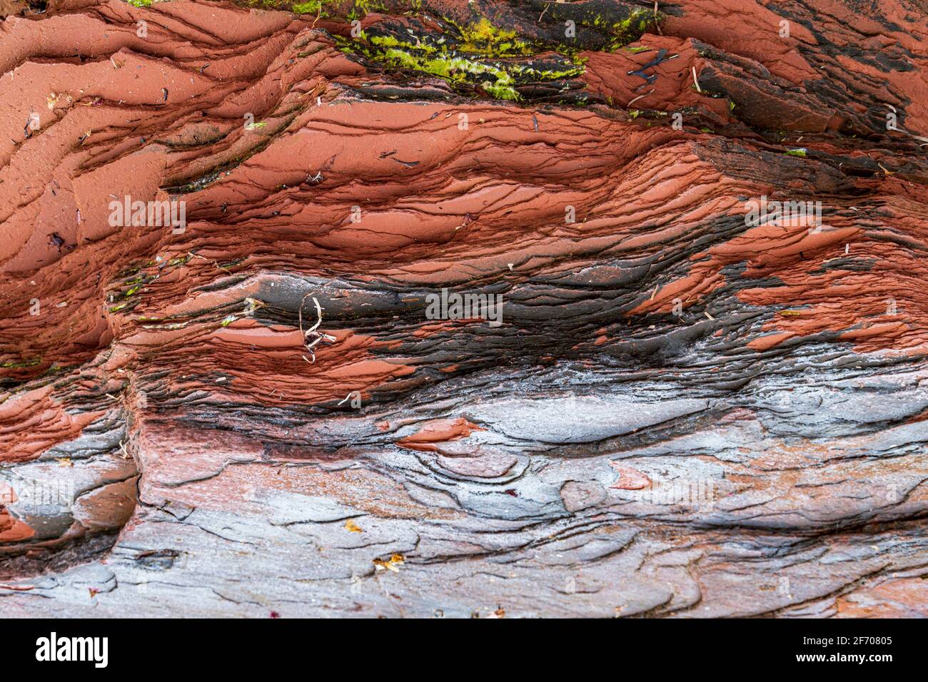 Motif et texture des couches de grès rouge ou noir coloré sur la plage Cavendish de l'Île-du-Prince-Édouard, recouvertes de débris de l'o Banque D'Images