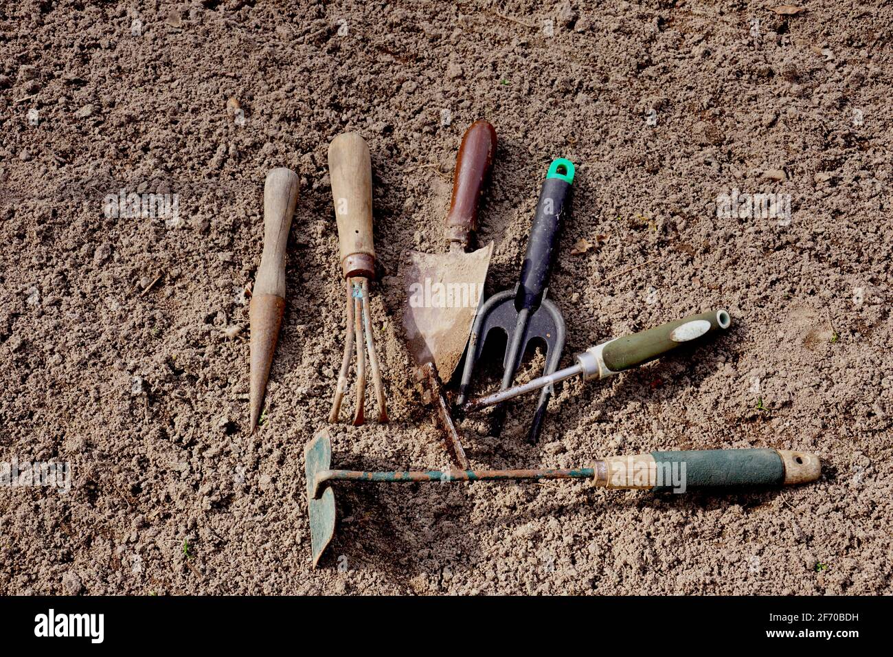 Préparation pour le travail dans le jardin de la maison. Outils de jardin utilisés. Banque D'Images