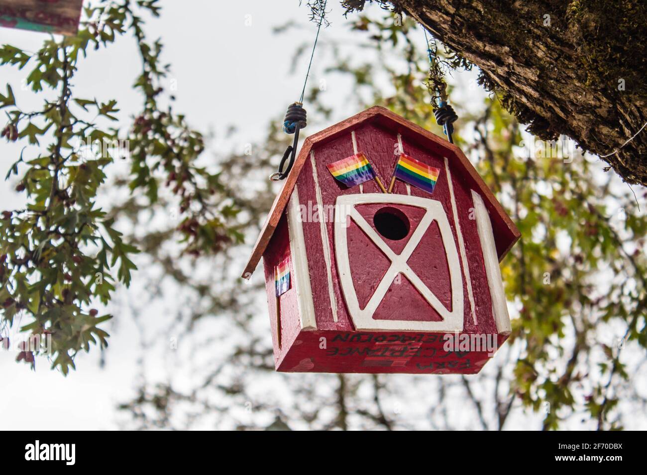 Vancouver, Colombie-Britannique, Canada - le 23 septembre 2017 : la maison d'oiseaux rouge sur un arbre en arrière-plan de la forêt printanière Banque D'Images