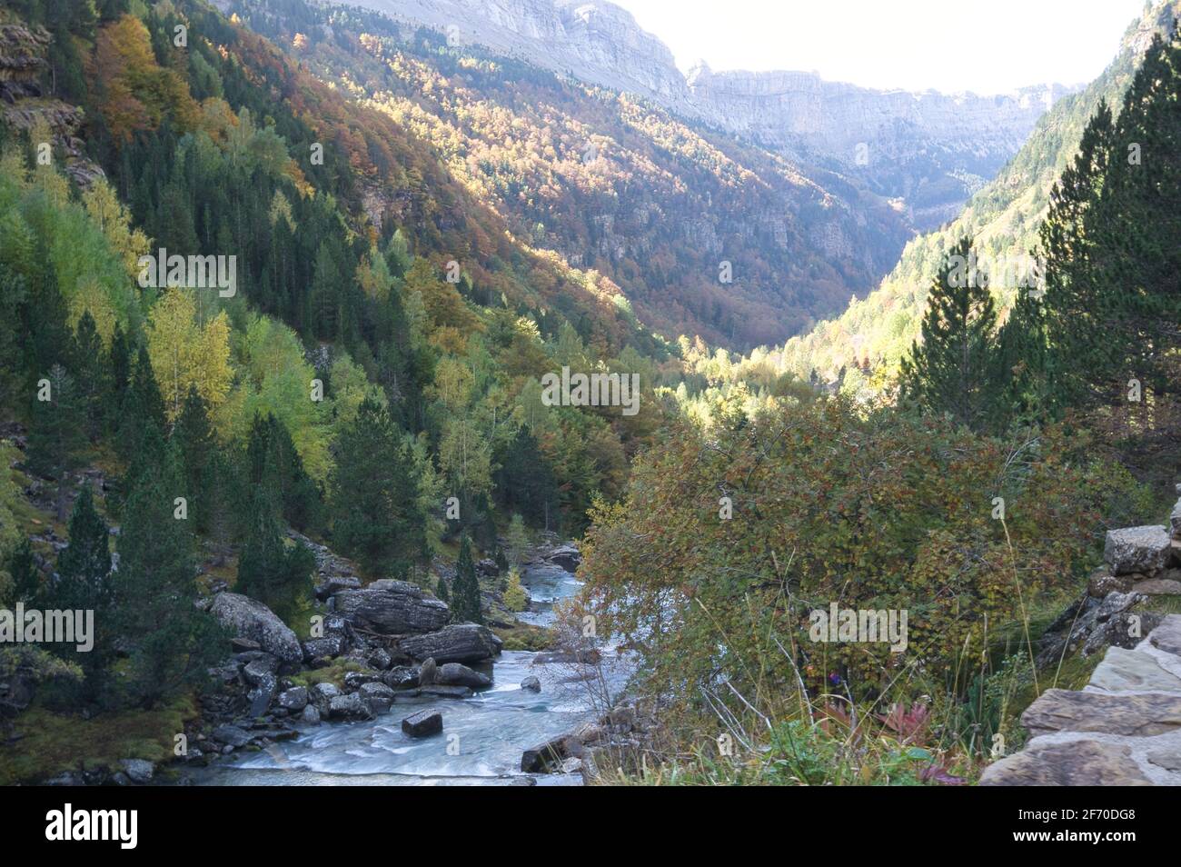 Sur les rives de la rivière Arazas, dans le parc national Ordesa y Monte Perdido, dans les Pyrénées aragonaises, situé à Huesca, en Espagne. Vue Banque D'Images