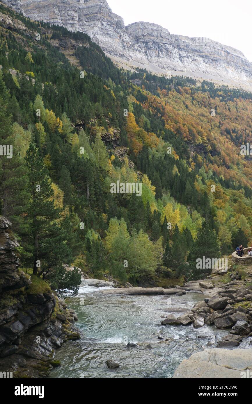 Sur les rives de la rivière Arazas, dans le parc national Ordesa y Monte Perdido, dans les Pyrénées aragonaises, situé à Huesca, en Espagne. Vue Banque D'Images