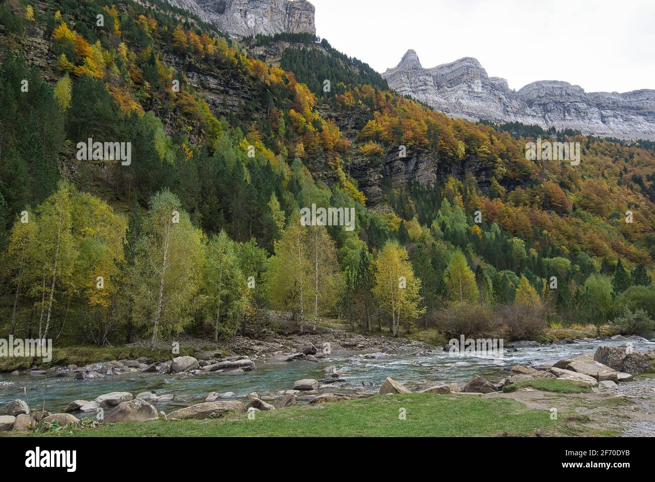 Sur les rives de la rivière Arazas, dans le parc national Ordesa y Monte Perdido, dans les Pyrénées aragonaises, situé à Huesca, en Espagne. Vue Banque D'Images