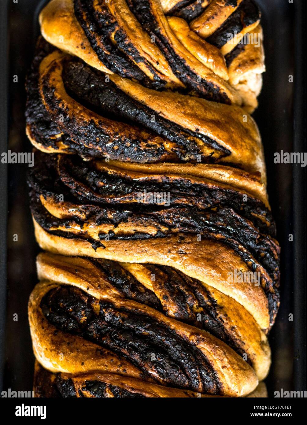 Babka au chocolat vegan chaud, frais et tout juste cuit. Banque D'Images