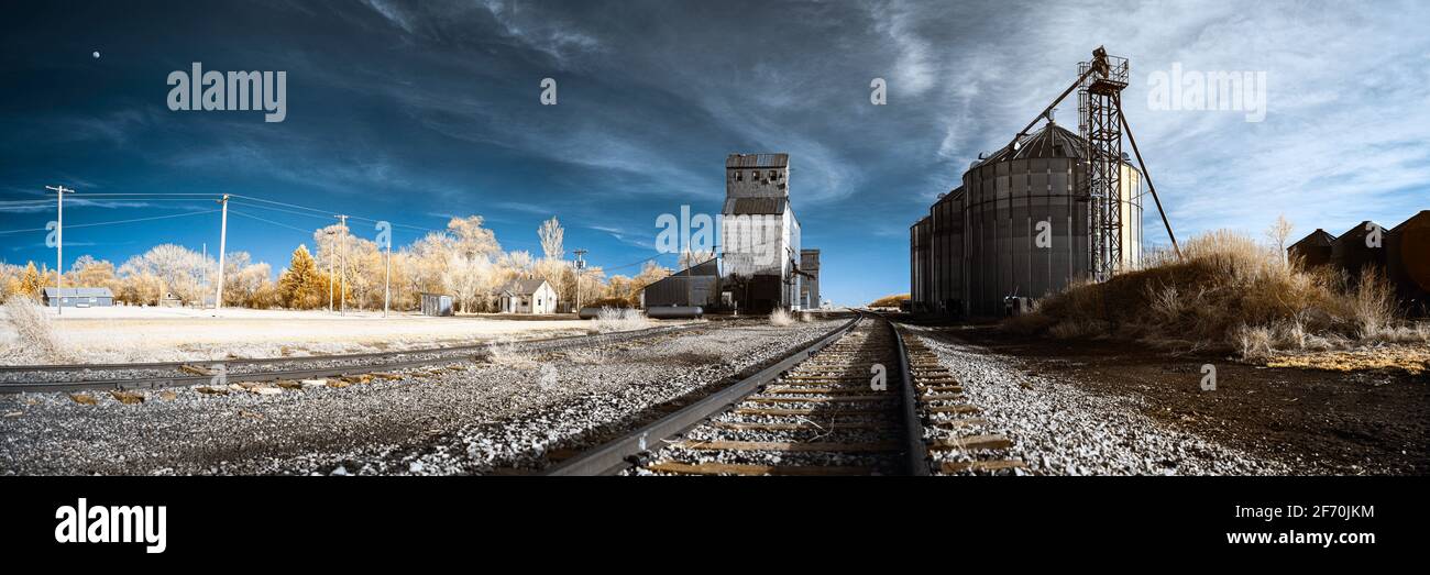 Image infrarouge fausse couleur d'une menuiserie dans la petite communauté des prairies d'Athol, Dakota du Sud. Une pleine lune peut être vue se lever du côté gauche. Banque D'Images