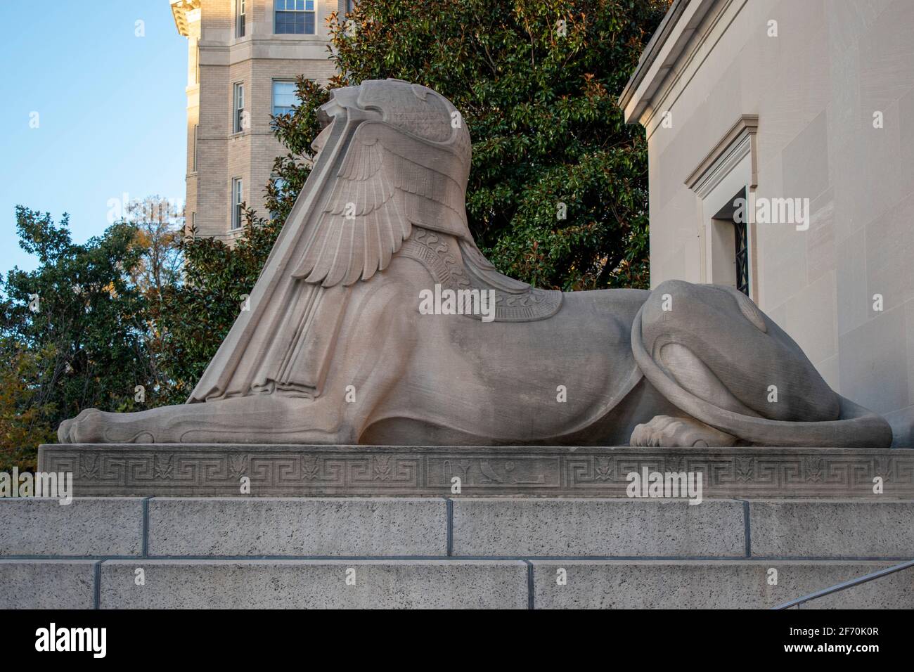 côté de la belle couleur sphinx set voile champagne à washington cc Banque D'Images