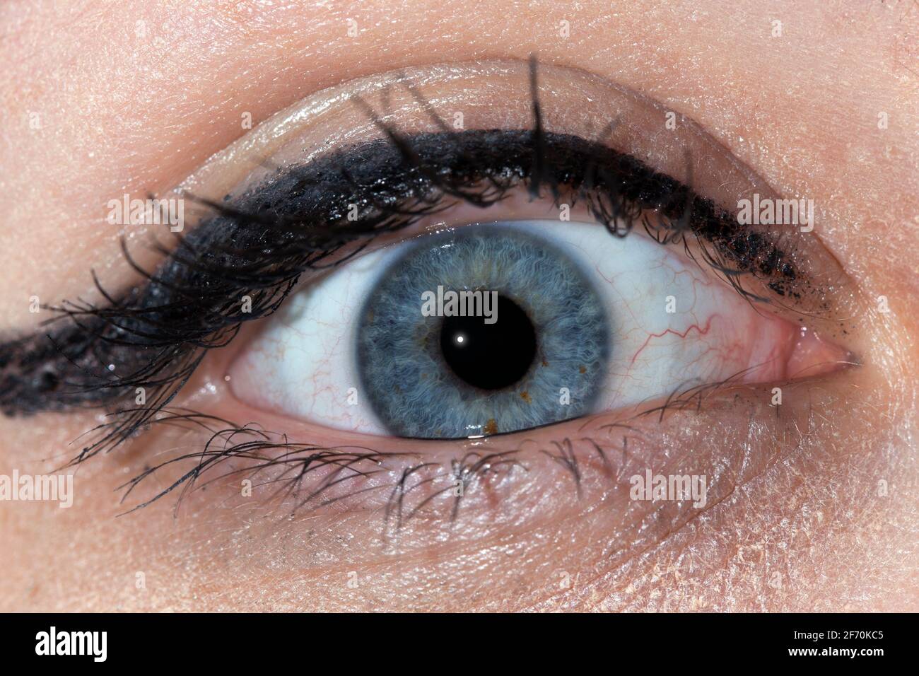 Détail d'un œil humain, iris visible, femme, flash Banque D'Images