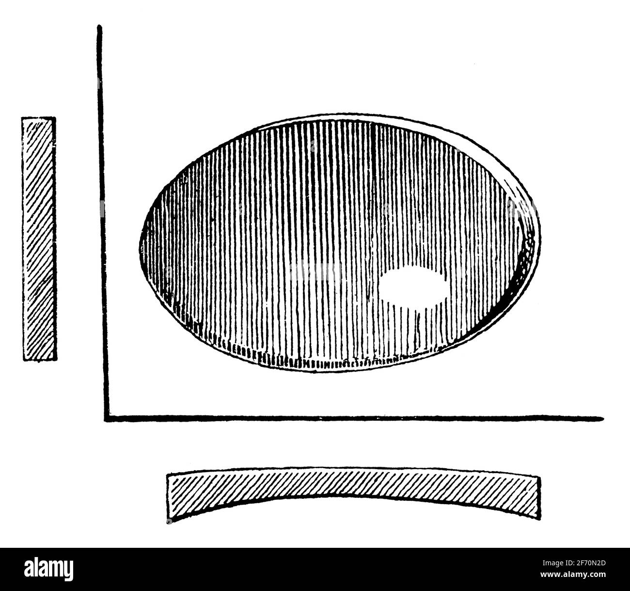 Lentille cylindrique concave en verre. Illustration du 19e siècle. Allemagne. Arrière-plan blanc. Banque D'Images
