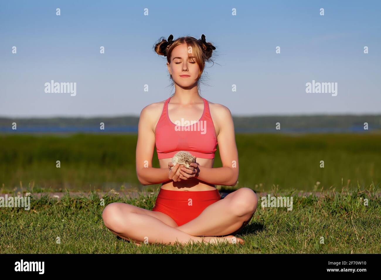 Jeune femme pratiquant la méditation de yoga avec son hérisson d'animal de compagnie sur l'herbe verte au parc en été. Détendez-vous et harmonie avec la nature. Banque D'Images