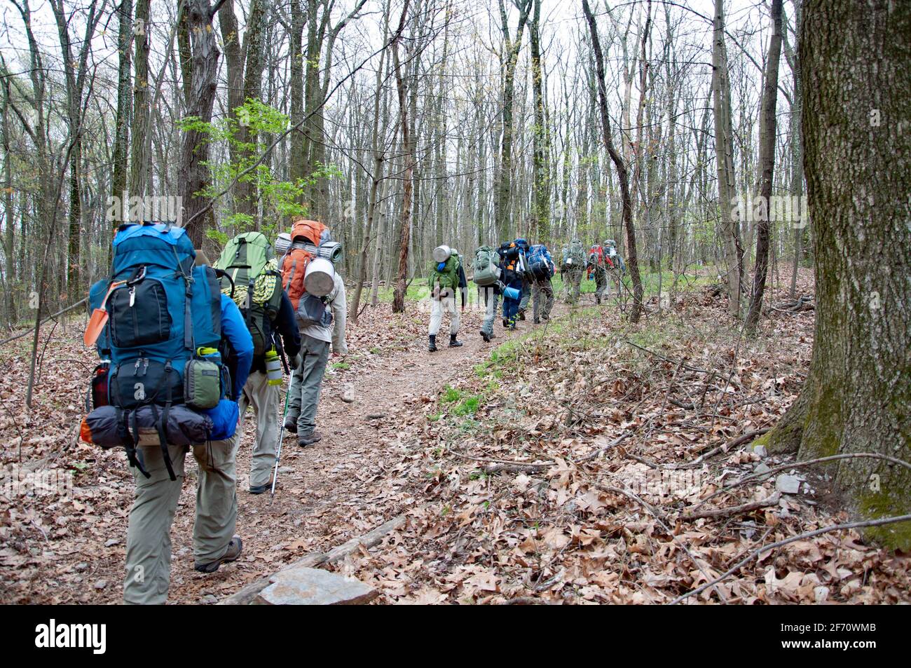 Backpackers randonnée sur le sentier Appalachian à Springtime Banque D'Images