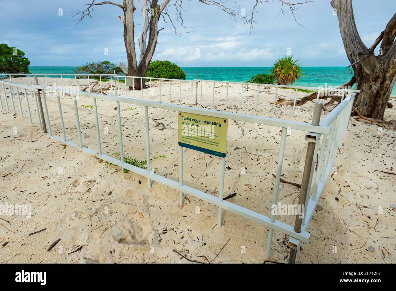 Enceinte protégeant les œufs de la Loggerhead Turtles sur la plage de Heron Island, Grande barrière de corail du sud, Queensland, Queensland, Queensland, Australie Banque D'Images