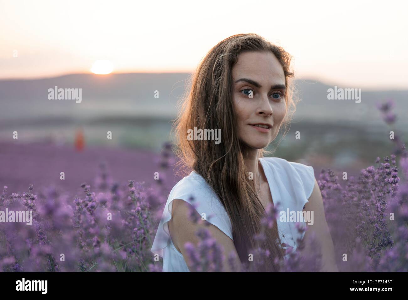 Gros plan de la jeune femme brune heureuse en robe blanche sur des champs de lavande parfumés en fleurs avec des rangées sans fin. Lumière chaude au coucher du soleil. Bagues de Banque D'Images