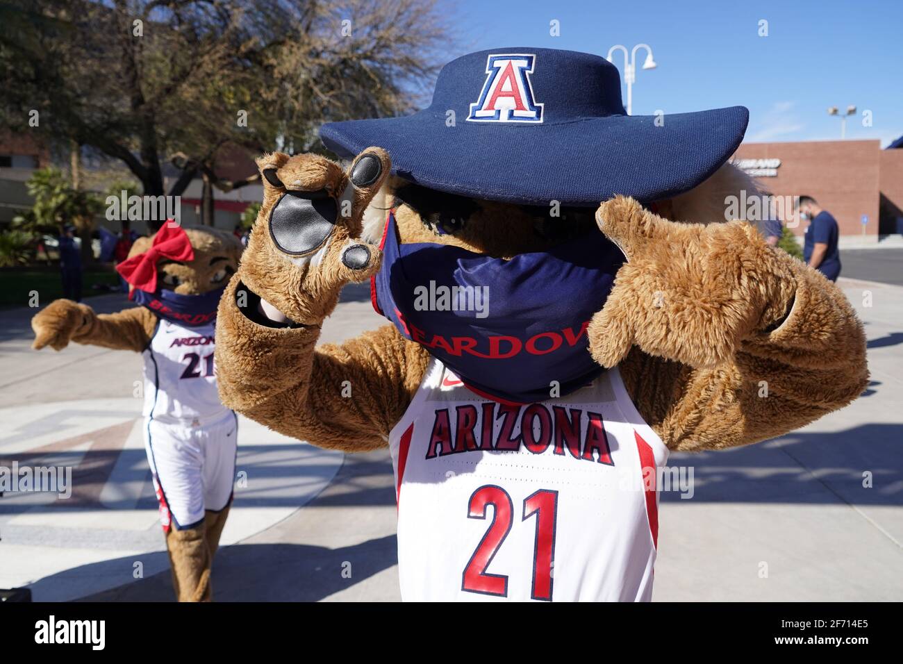 Les mascottes Arizona Wildcats Wilbur et Wilma accueillent l'équipe féminine de basket-ball avant leur départ pour le tournoi Pac-12, le mardi 2 mars 2021 Banque D'Images