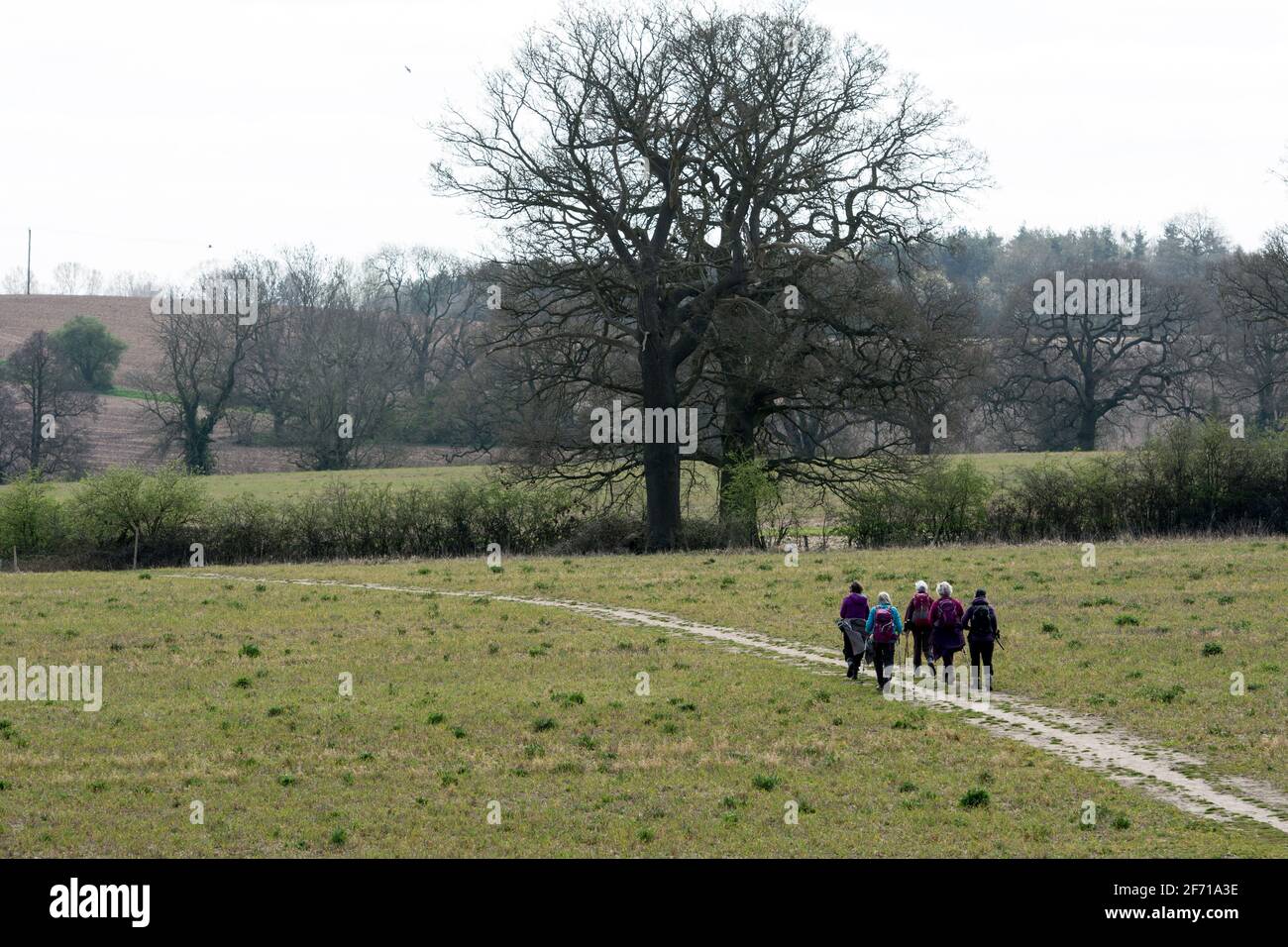 Un groupe de cinq femmes marchant dans la campagne, Hatton, Warwickshire, Angleterre, Royaume-Uni Banque D'Images