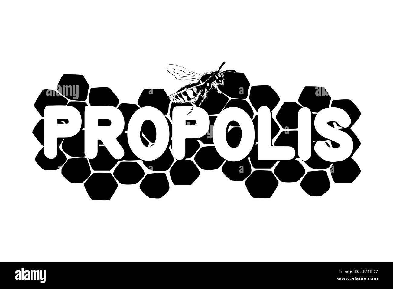 Illustration en nid d'abeille avec abeille isolée sur fond blanc Illustration de Vecteur