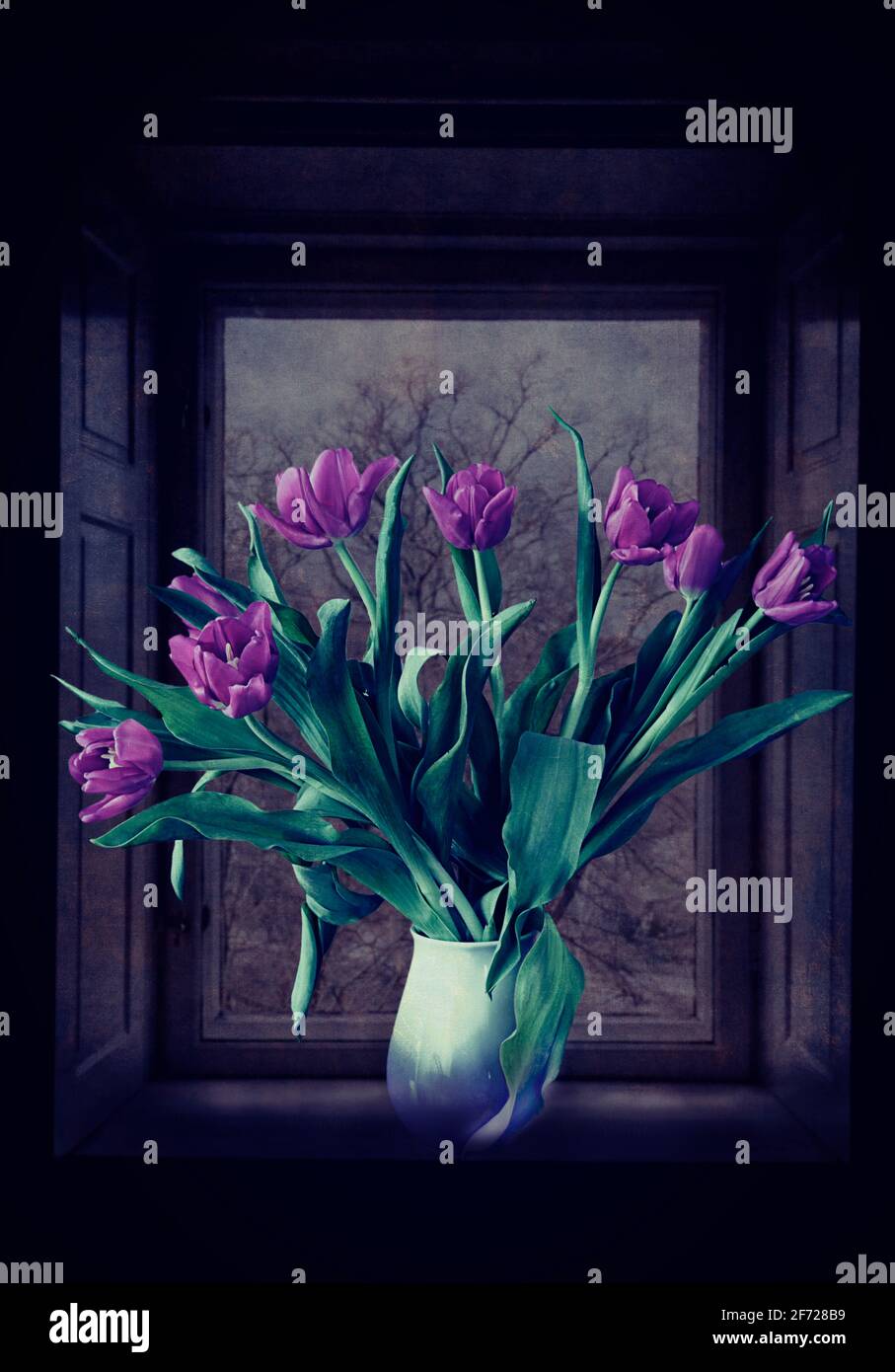 Encore la vie, bouquet de tulipes violettes sur le rebord de la fenêtre, avec la faible lumière d'un paysage d'hiver dehors Banque D'Images