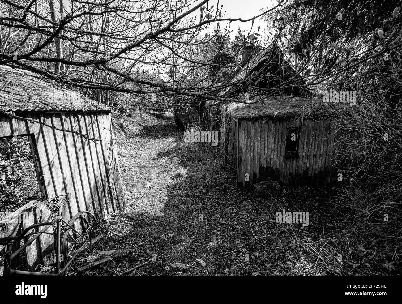 Cottage abandonné, Royal Deeside, Écosse Banque D'Images