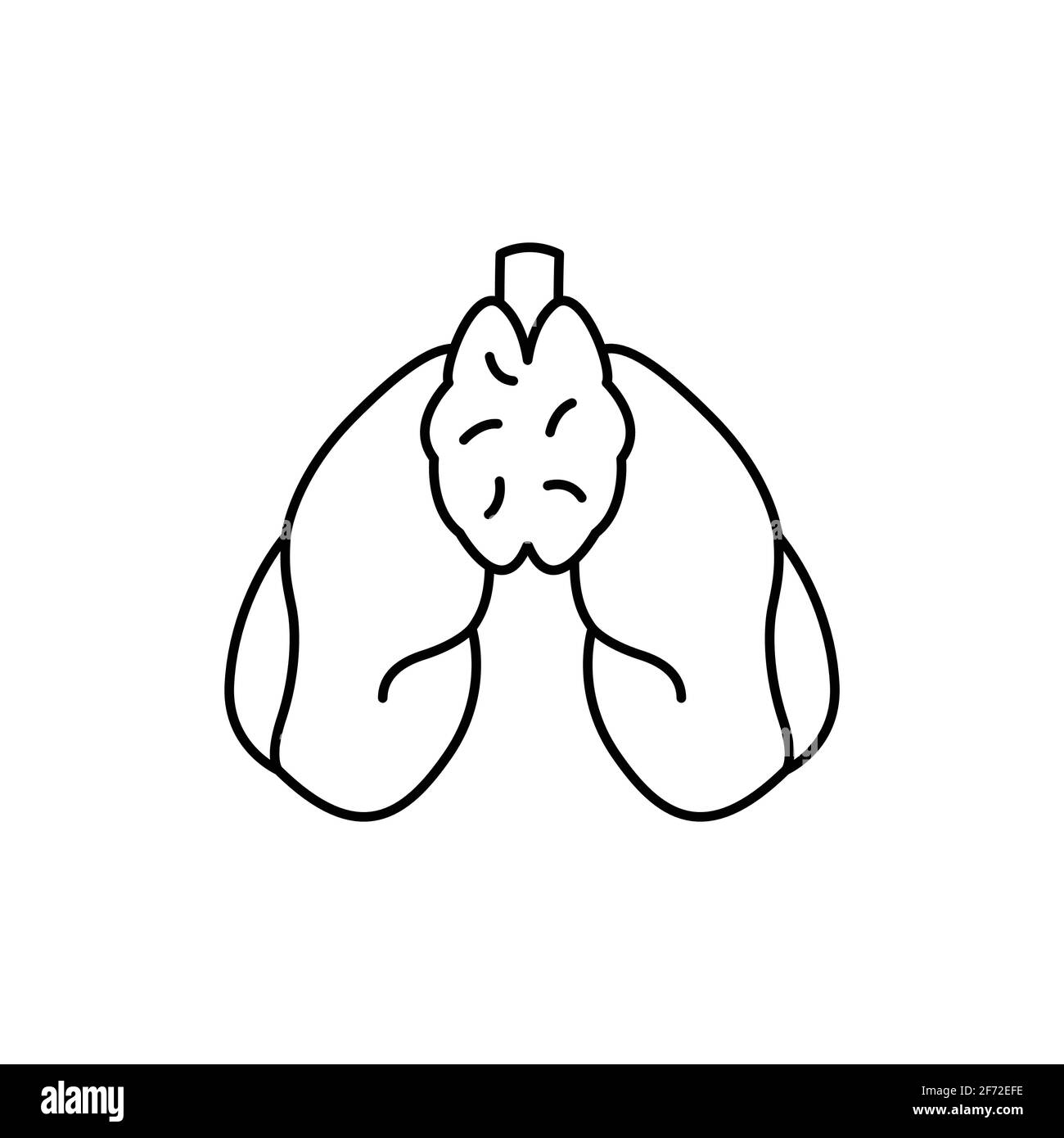 Icône de ligne de couleur thymus des organes humains. Pictogramme pour page Web, application mobile, Promo. Élément de conception UI UX GUI. Contour modifiable. Illustration de Vecteur