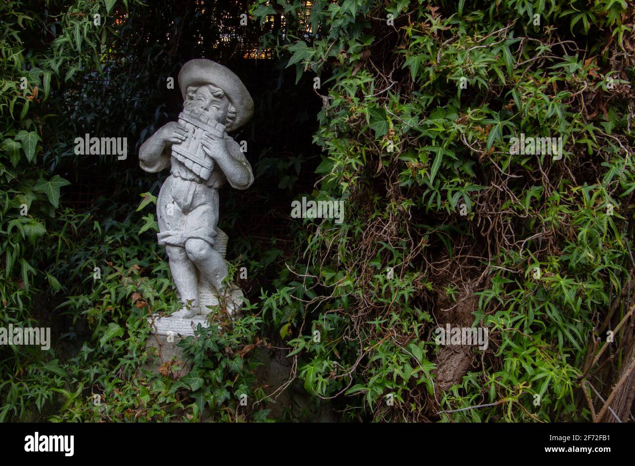 Ancienne statue blanche d'un garçon jouant une poêle flûte entourée de lierre et d'espace de copie Banque D'Images