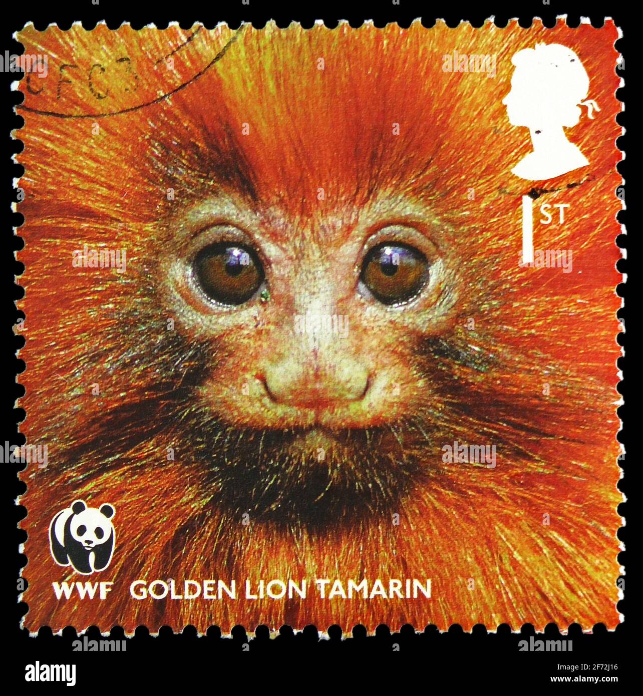 MOSCOU, RUSSIE - 22 DÉCEMBRE 2020 : le timbre-poste imprimé au Royaume-Uni montre le Tamarin du Lion d'Or (Leontopithecus rosalia), Fonds mondial pour la nature se Banque D'Images