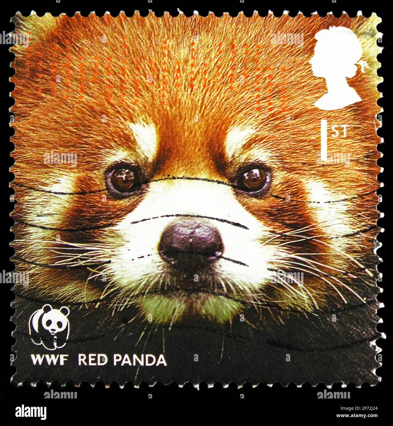 MOSCOU, RUSSIE - 22 DÉCEMBRE 2020: Timbre-poste imprimé au Royaume-Uni montre le Panda rouge (Ailurus fulgens), série du Fonds mondial pour la nature, vers 2011 Banque D'Images