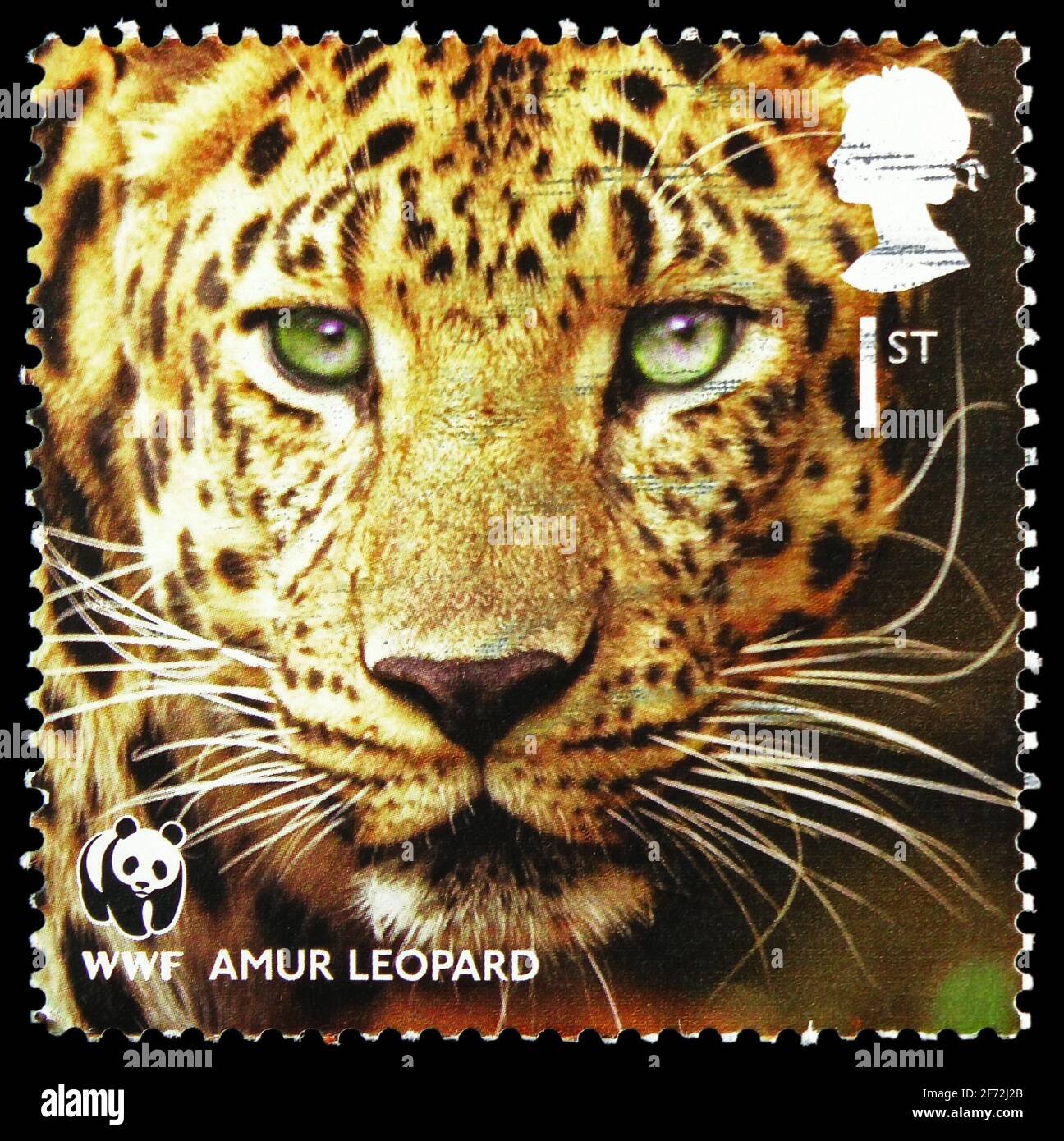 MOSCOU, RUSSIE - 22 DÉCEMBRE 2020 : le timbre-poste imprimé au Royaume-Uni montre Amur Leopard (Panthera pardus orientalis), série du Fonds mondial pour la nature Banque D'Images