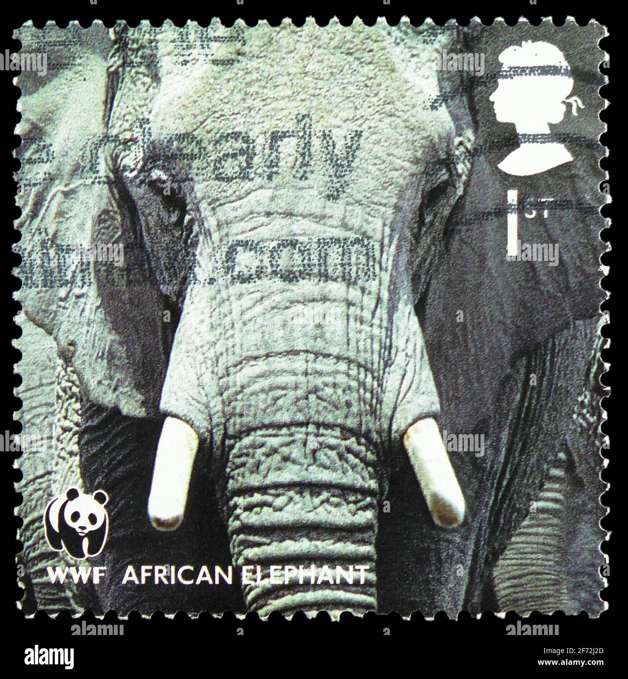 MOSCOU, RUSSIE - 22 DÉCEMBRE 2020: Timbre-poste imprimé au Royaume-Uni montre l'éléphant d'Afrique (Loxodonta africana), série du Fonds mondial pour la nature, ci Banque D'Images