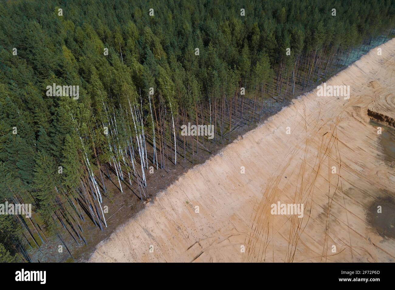 Frontière de la carrière avançant sur la forêt Banque D'Images