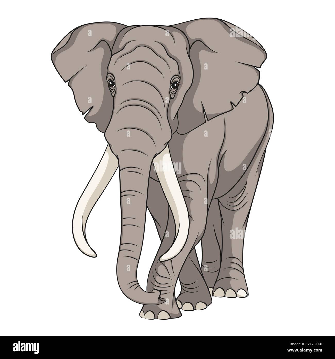 Image vectorielle de couleur d'un éléphant. Objet isolé. Illustration de Vecteur