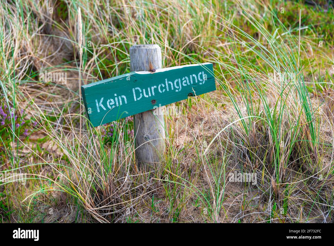 Pas de passage, panneau d'interdiction, aire protégée, Sylt, Frise du Nord, Schleswig-Holstein, Allemagne Banque D'Images