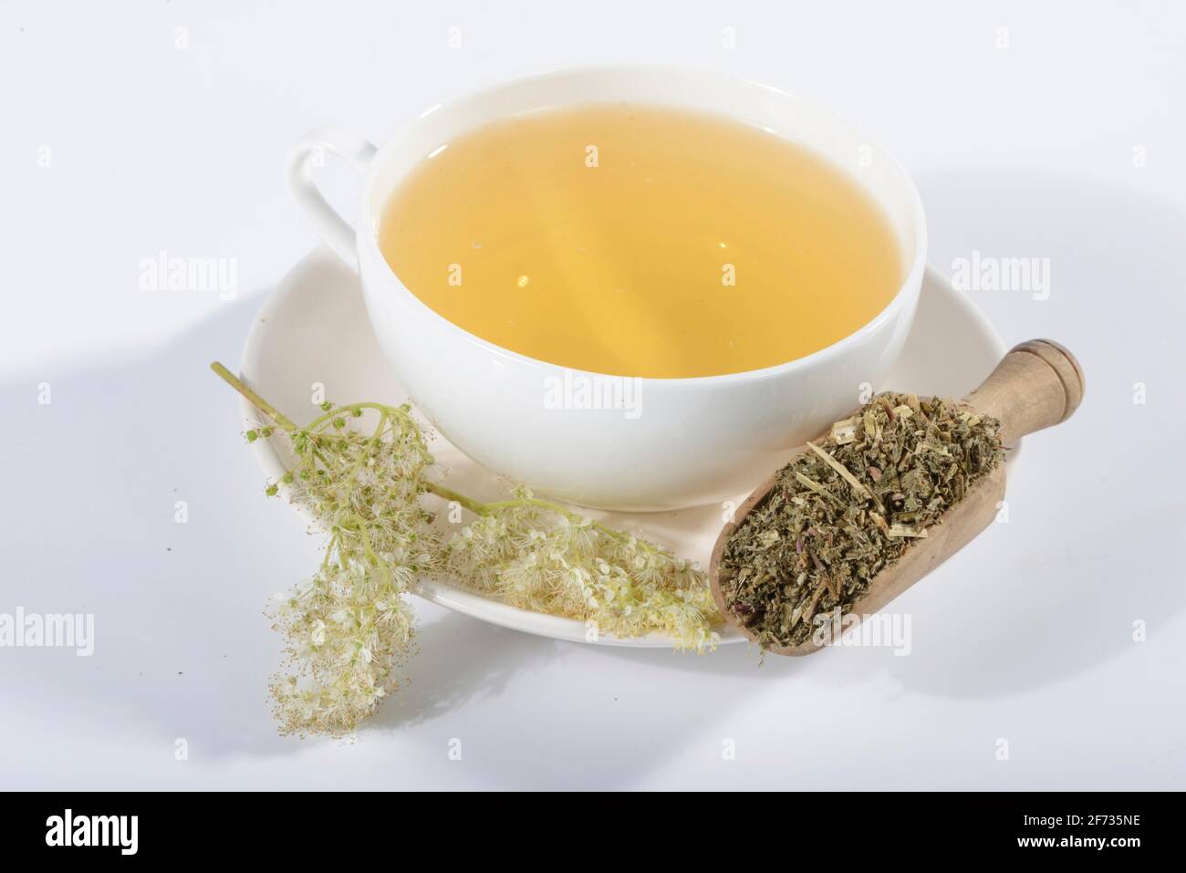 Tasse de thé doux (Filipendula ulmaria), doux, légumineuse, chèvrefeuille, spikeweed, meadow queen, lilas sauvage, herbe de crampes, thé doux au limon Banque D'Images