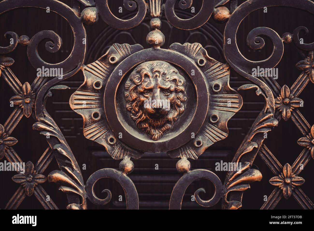 Détails de la grille forgée avec sculpture en fonte à tête de lion, couleur bronze, style rosace. Produits métalliques, quincaillerie. Portails décoration extérieure Banque D'Images