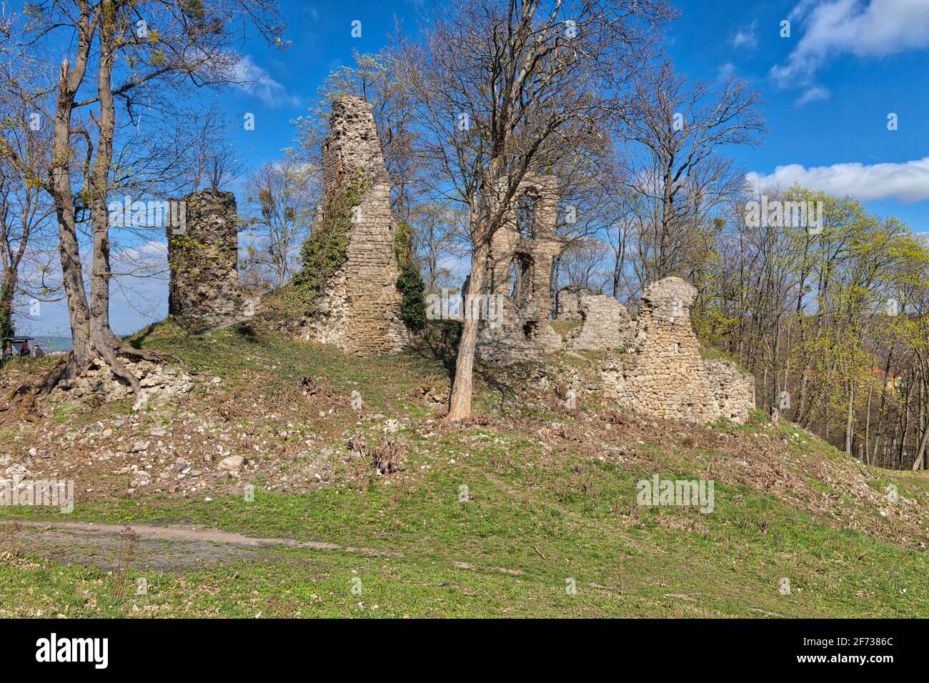 Burgruine Stecklenburg BEI Stecklenberg im Harz Banque D'Images