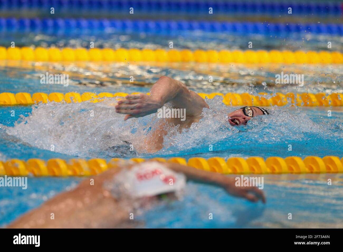 Maarten brzoskowski Banque de photographies et d’images à haute