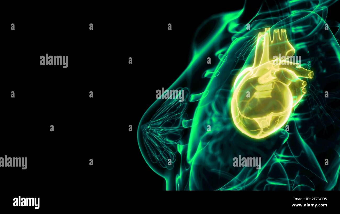 illustration 3d médicale, vue par rayons x des problèmes cardiaques humains Banque D'Images