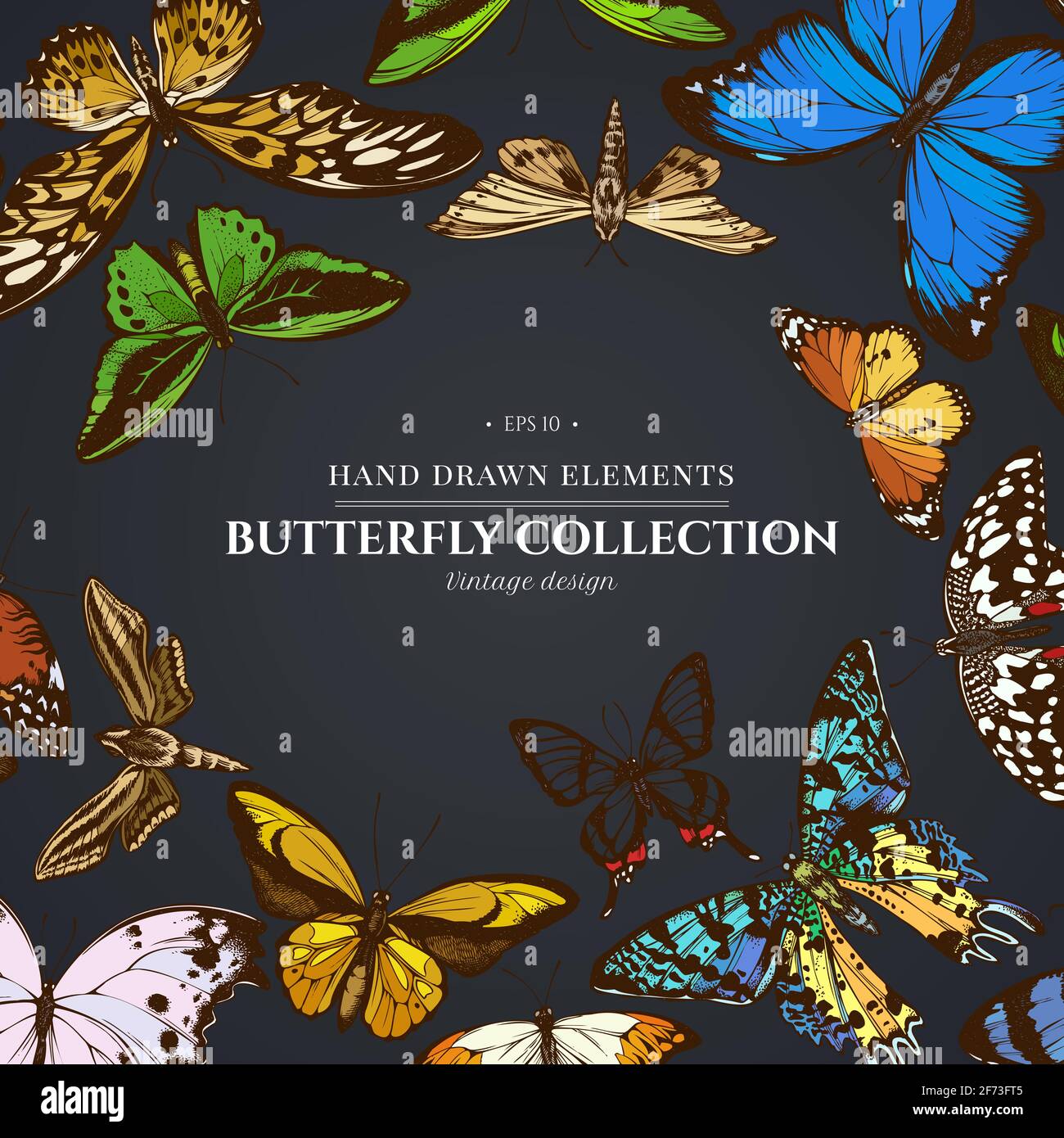 Design sur fond sombre avec une grande pointe orange, une queue d'émeraude, un tigre Uni, une aile d'oiseaux de rajah brooke, un papillio torquatus, un papillon à queue d'oiseau Illustration de Vecteur