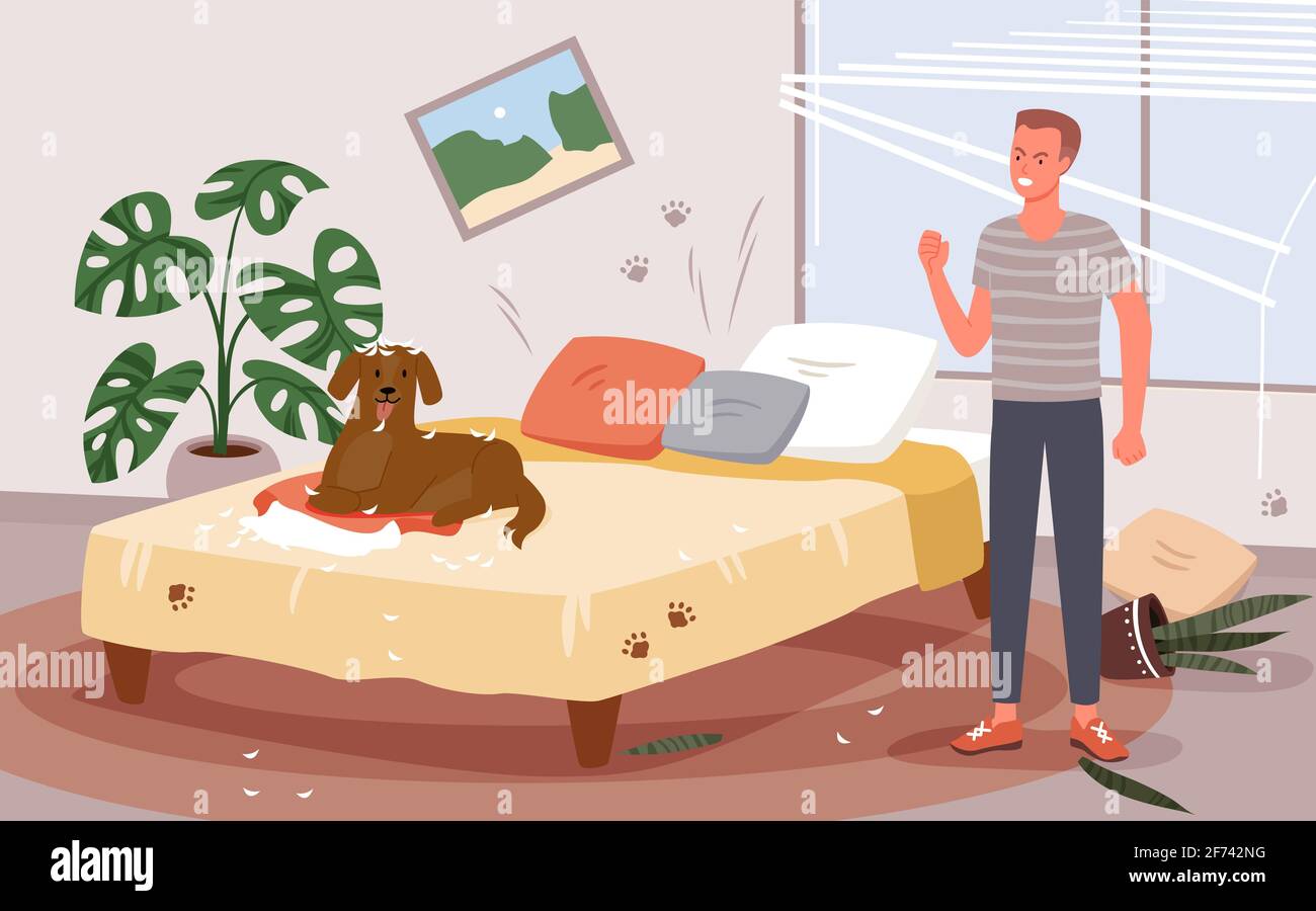 Les gens sèdent le problème de comportement de chien, l'homme en colère se colant doggy pour le chaos désordonné dans la chambre à coucher Illustration de Vecteur