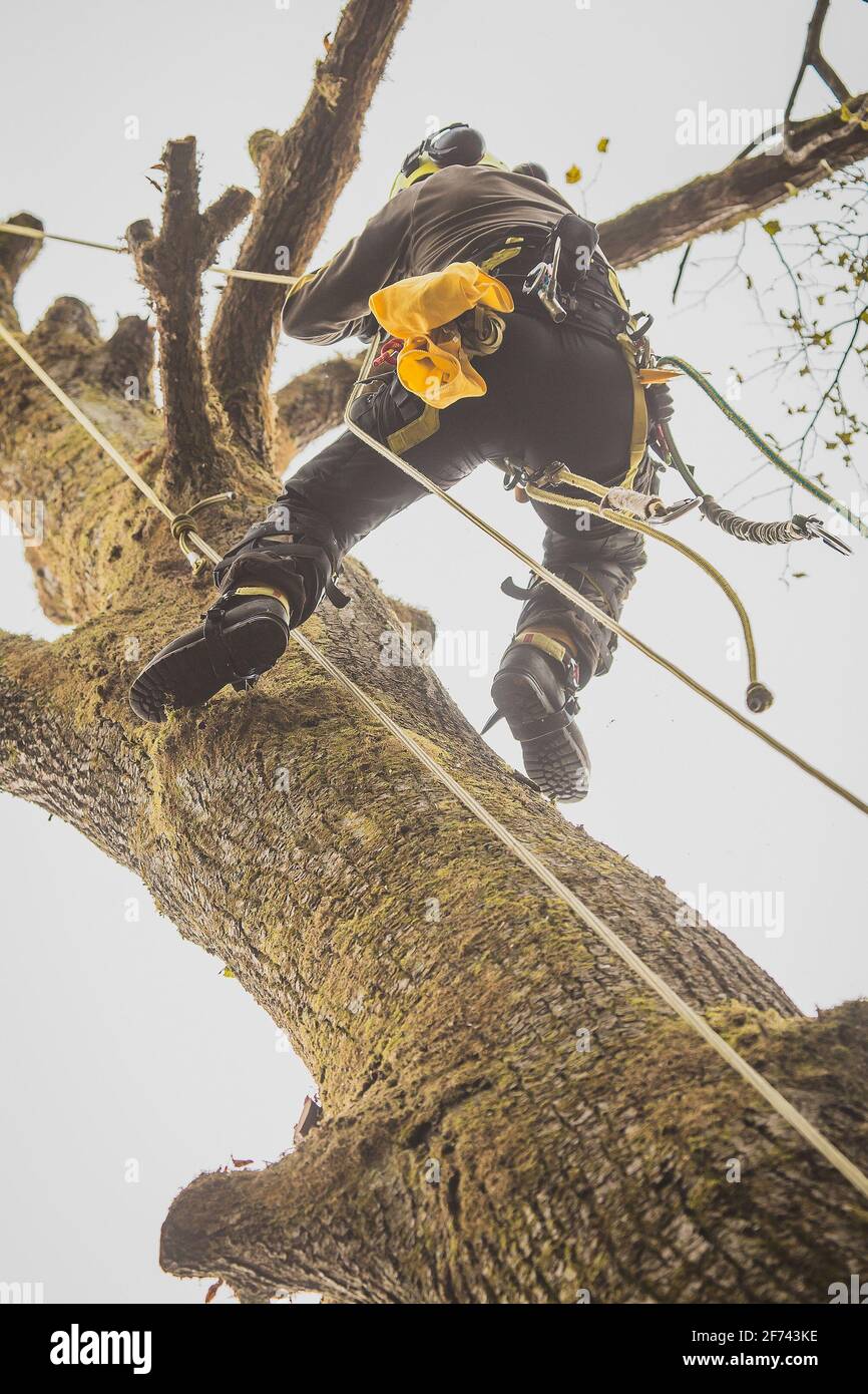 Mur d'escalade extérieur SEQUOIA | Climbit