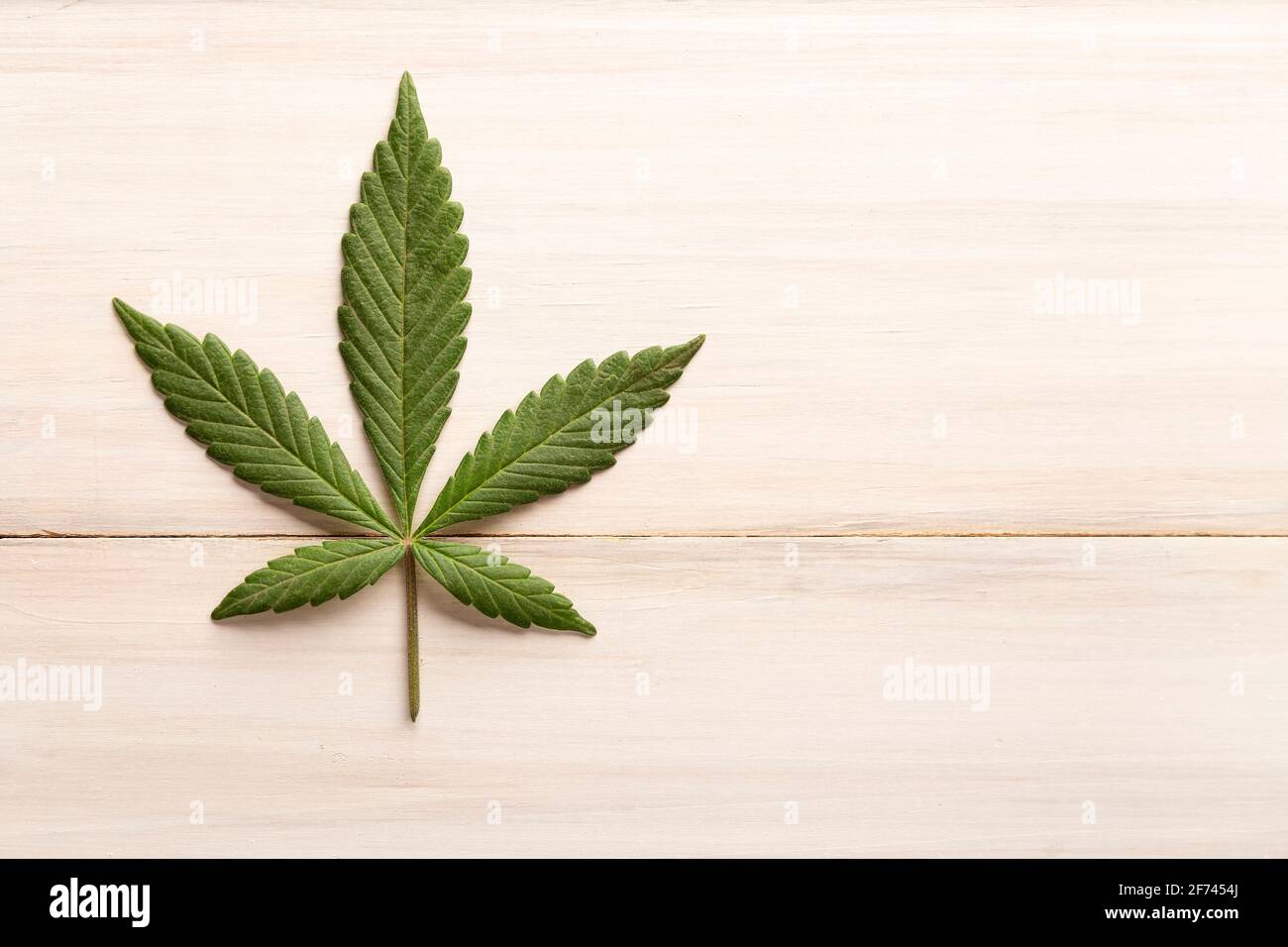 feuille de cannabis sativa verte fraîche (marijuana) sur bois blanc rustique arrière-plan avec espace de copie Banque D'Images