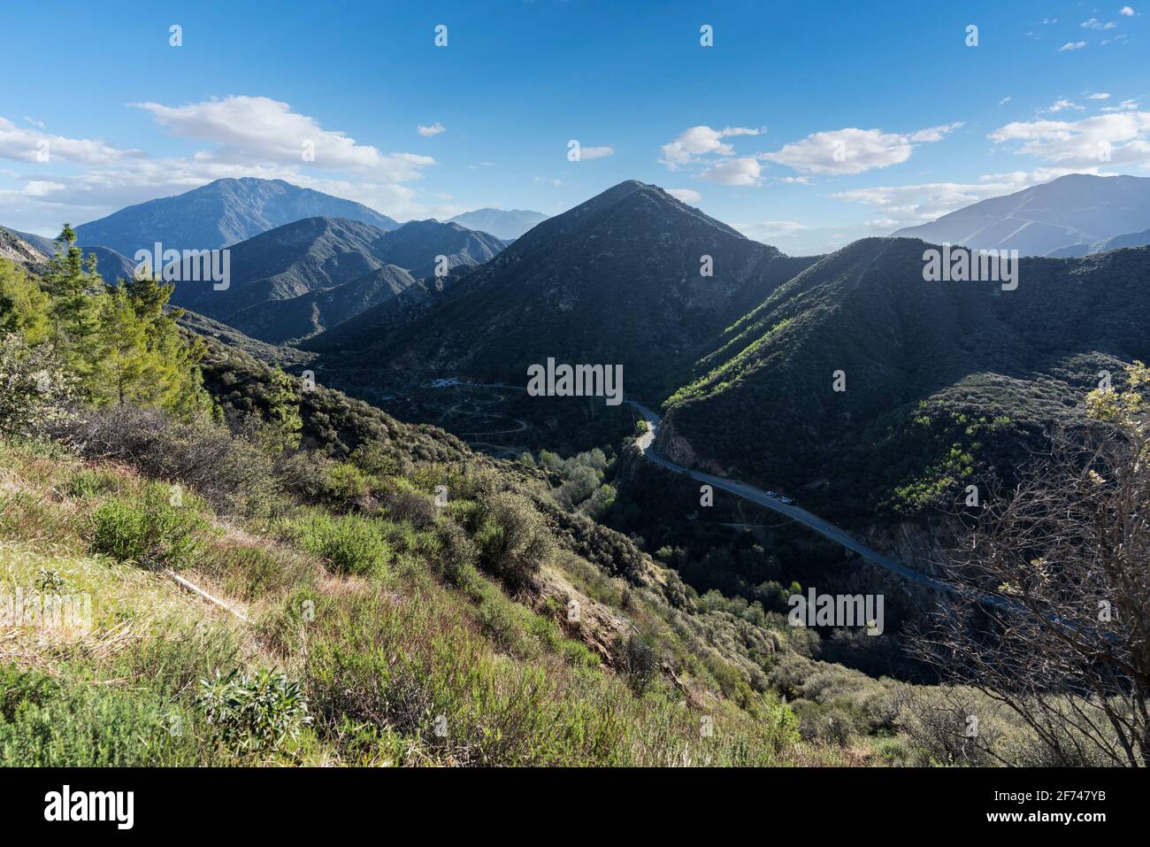 Vue sur la fourche est du canyon de la rivière San Gabriel dans le monument national des montagnes San Gabriel du comté de Los Angeles en Californie. Banque D'Images