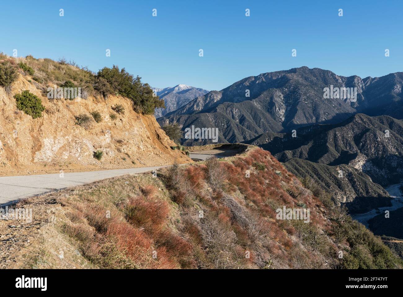 Vue de la courbe sur Glendora Ridge Road dans les montagnes San Gabriel du comté de Los Angeles en Californie. Banque D'Images