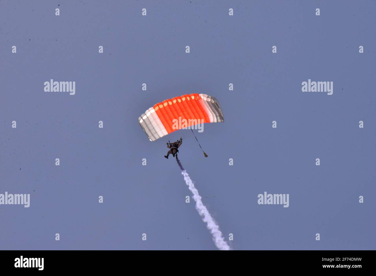 Melbourne Beach. Floride. ÉTATS-UNIS. 4 avril 2021. “Tribu of Voyager tikis Beach Boogie Skydivers” a tenu un événement du dimanche de Pâques sautant d'un hélicoptère Sikorsky, certains portant le nom de lapin de Pâques. En raison des vents forts et de l'étroite zone de chute de plage, les lignes électriques à haute tension à l'ouest et l'océan à l'est ont été la préoccupation de la journée. Crédit photo : Julian Leek/Alay Live News Banque D'Images