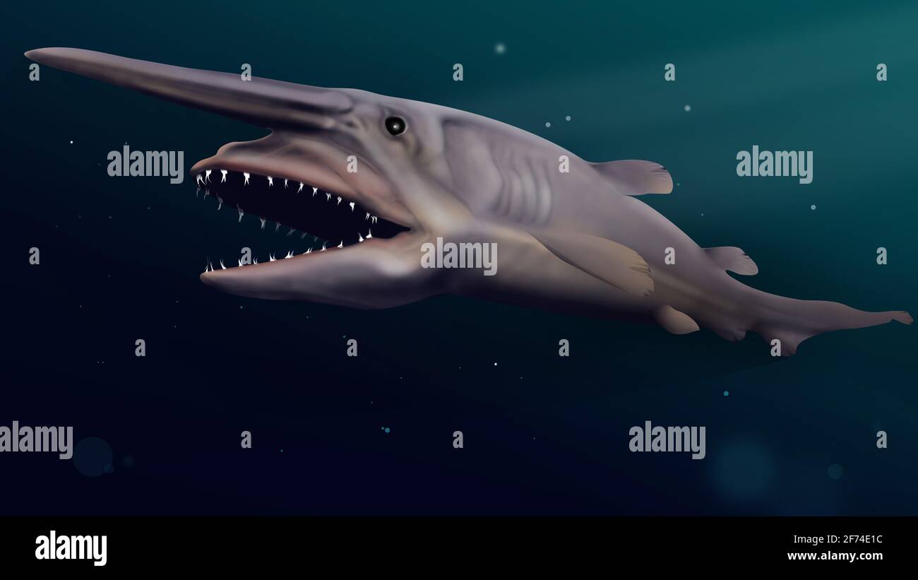 Requin gobelin (Mitsukurina owstoni) requin des eaux profondes. La vie fossile. Illustration minimale requin isolé. Animal à la peau rose. Créature en haute mer. Banque D'Images